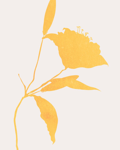 Wallpaper cu floare de soare minimalist, design modern, culori neutre, living
