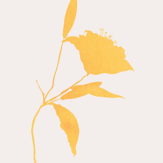 Wallpaper cu floare de soare minimalist, design modern, culori neutre, living