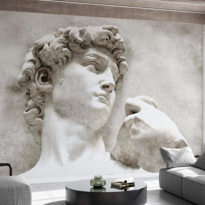 Imagine cu un tapet cu designul sculpturii clasice David de Michelangelo