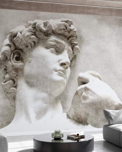 Imagine cu un tapet cu designul sculpturii clasice David de Michelangelo