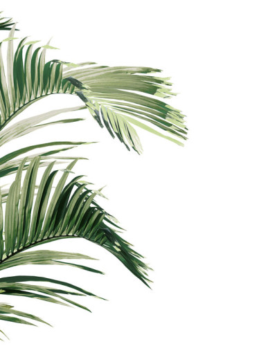 Tapet cu frunze tropicale Piece of Paradise, Viridescent