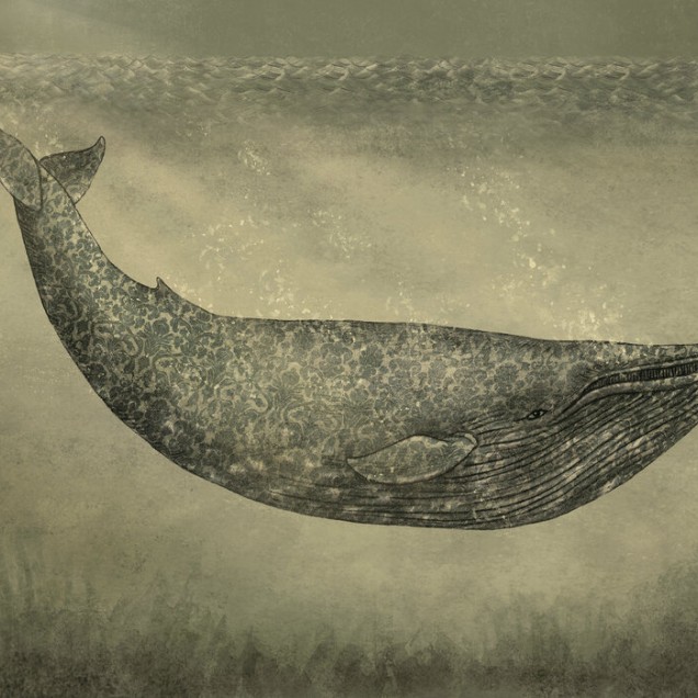 Tapet cu balena Damask Whale