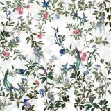 Magic Forest, Bright, Photowall