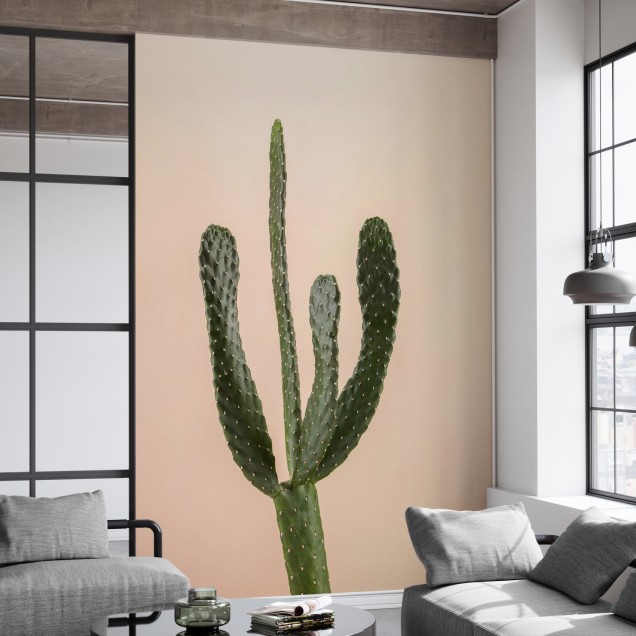 Tapet cu cactus pe fond bej