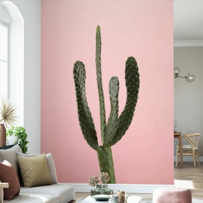 Tapet Cacti roz cu un cactus verde pe un fundal roz