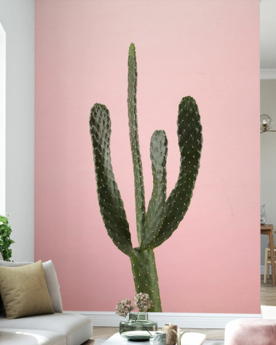 Tapet Cacti roz cu un cactus verde pe un fundal roz