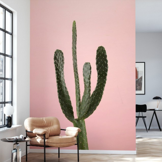 Tapet Cacti roz cu un cactus verde pe un fundal roz