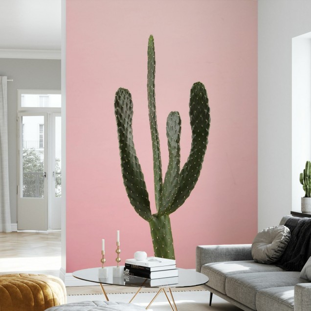 Tapet Cacti roz cu un cactus verde pe un fundal roz
