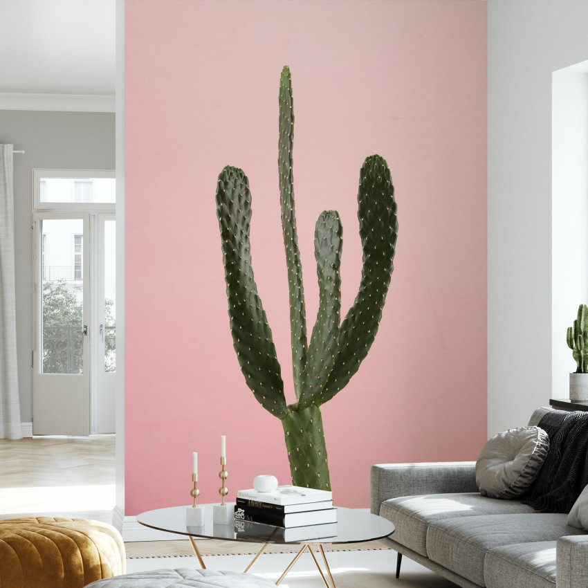 Tapetă foto cu cactus minimalist, alb, Cacti White