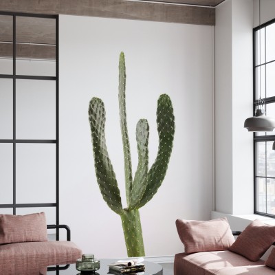 Tapetă foto cu cactus minimalist, alb, Cacti White
