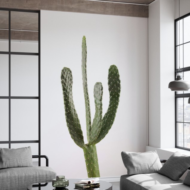 Tapetă foto cu cactus minimalist, alb, Cacti White