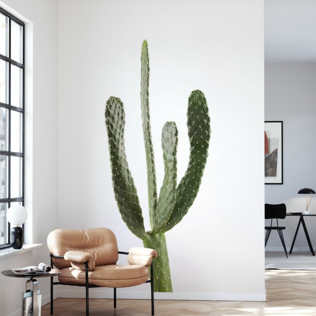 Tapetă foto cu cactus minimalist, alb, Cacti White