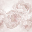 Peony, Photowall
