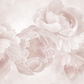 Peony, Photowall