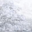 Beauty Everywhere - Blue, Photowall