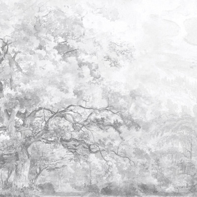 Fototapet cu design elegant în tonuri de gri
