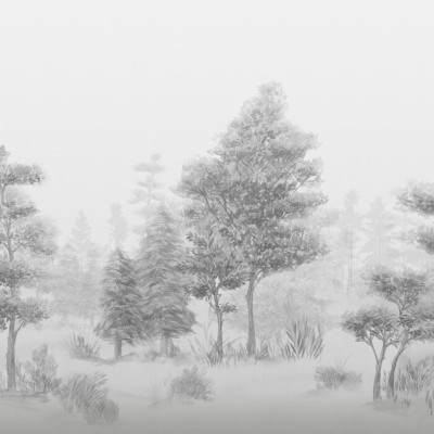 Tapet Bohemian Forest, BW, cu un design minimalist in tonuri de gri, cu o pădure liniștită, perfect pentru a crea o atmosferă relaxantă și sofisticată.  Se vede livingul cu canapea, scaun, masă de cafea și alte decorațiuni.