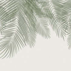 Fototapet Hanging Palm Leaves, Beige-Green, Personalizat, Photowall