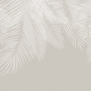 Fototapet Hanging Palm Leaves, Beige-White, Photowall