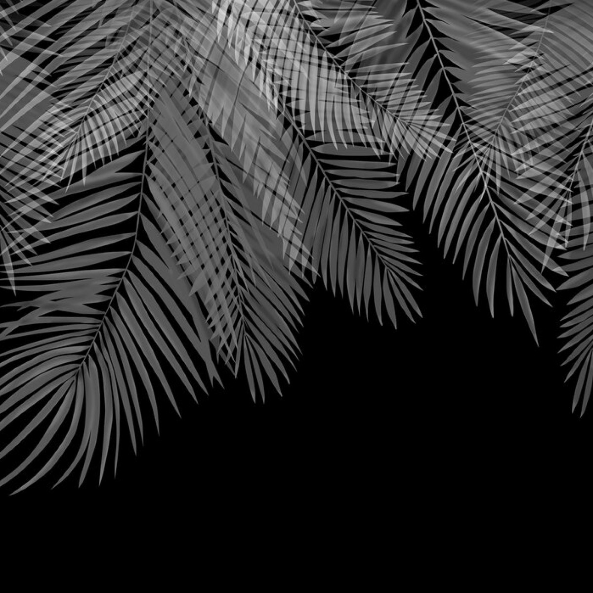 Fototapet Hanging Palm Leaves, Black-White, Personalizat, Photowall, Fototapet living 