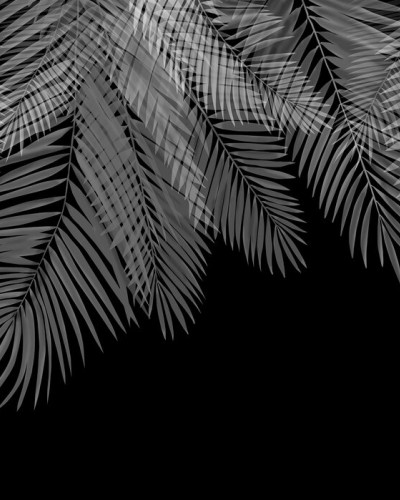 Tapet cu frunze de palmier suspendate, alb-negru, design minimalist