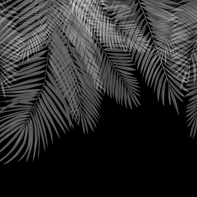 Tapet cu frunze de palmier suspendate, alb-negru, design minimalist