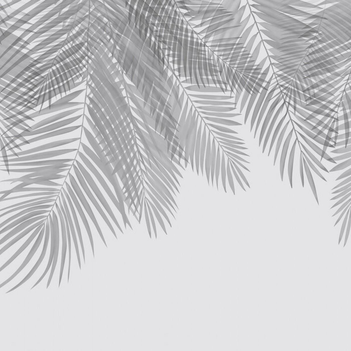 Fototapet Hanging Palm Leaves, Gray, Personalizat, Photowall, Fototapet living 