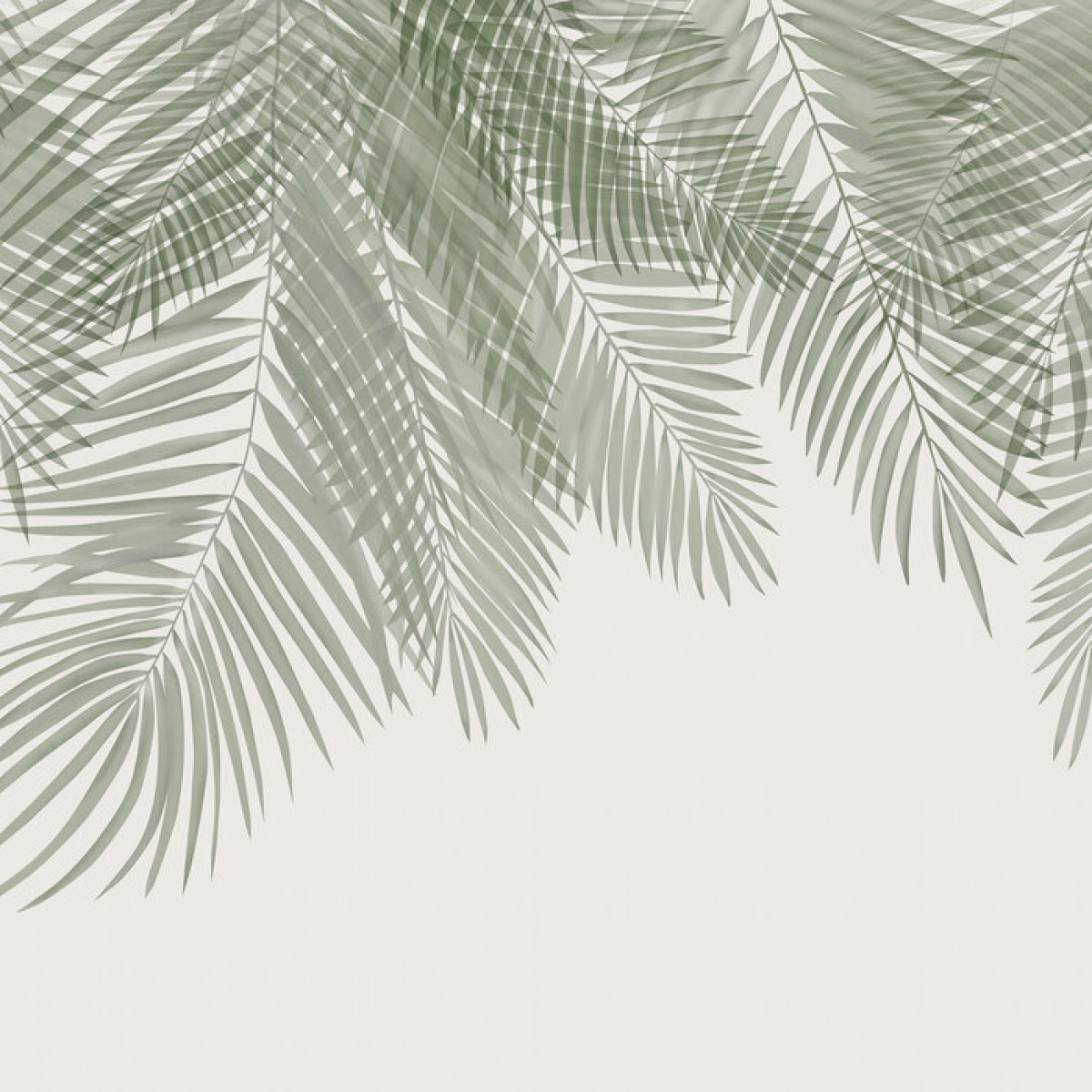Fototapet Hanging Palm Leaves, Green-Green, Personalizat, Photowall, Fototapet living 