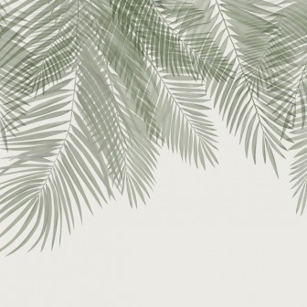 Fototapet Hanging Palm Leaves, Green-Green, Photowall