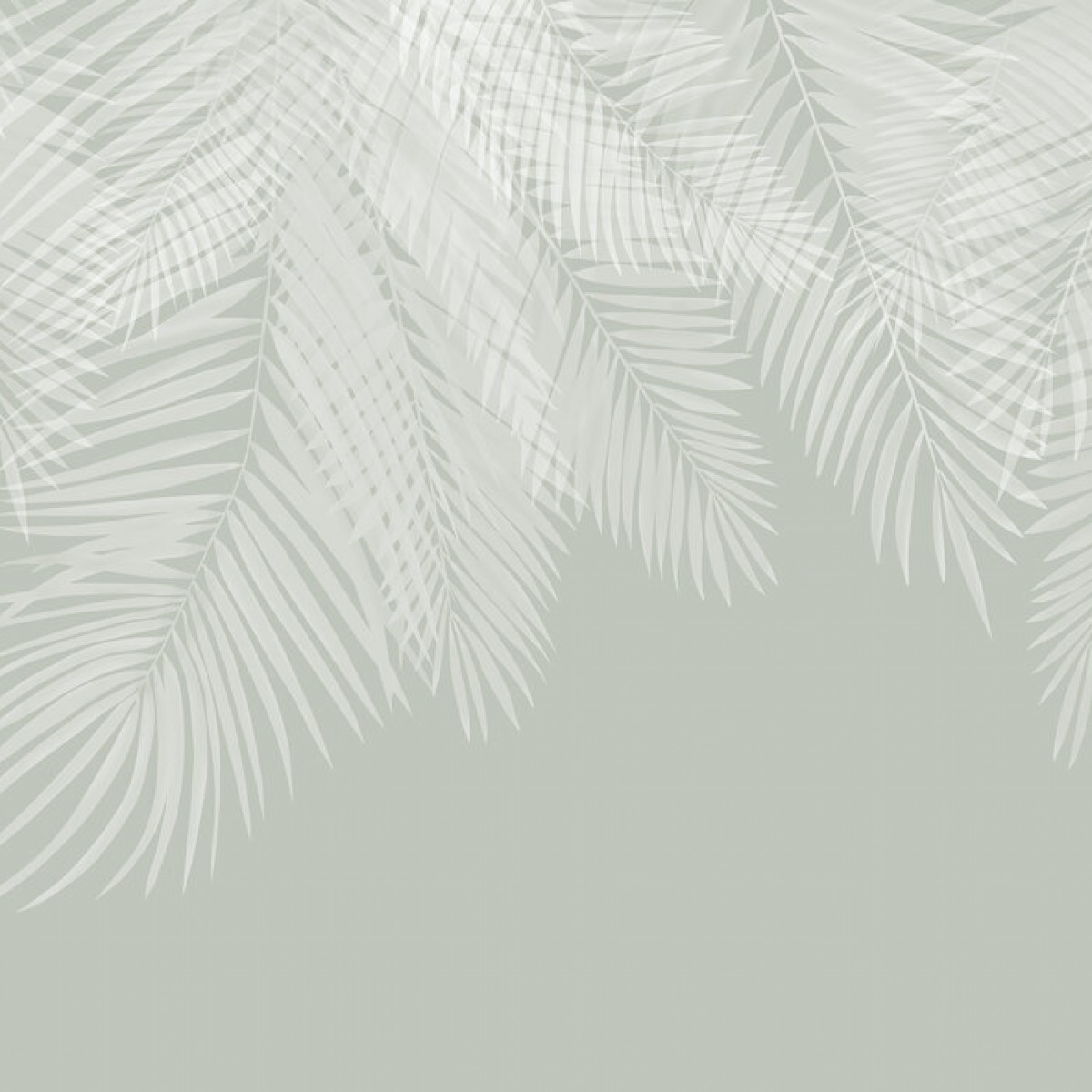 Fototapet Hanging Palm Leaves, Green-White, Personalizat, Photowall, Fototapet living 