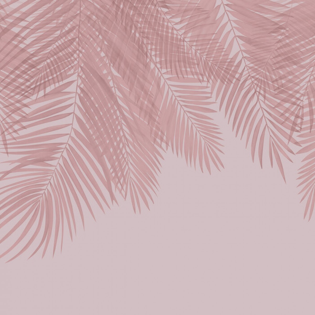 Fototapet Hanging Palm Leaves, Pink, Personalizat, Photowall, Fototapet living 