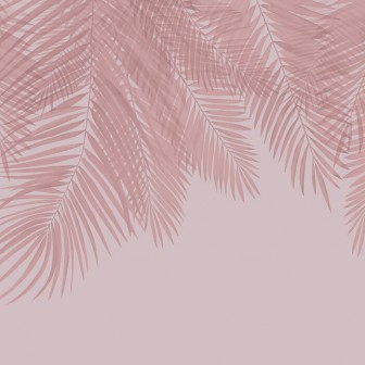 Fototapet Hanging Palm Leaves, Pink, Photowall