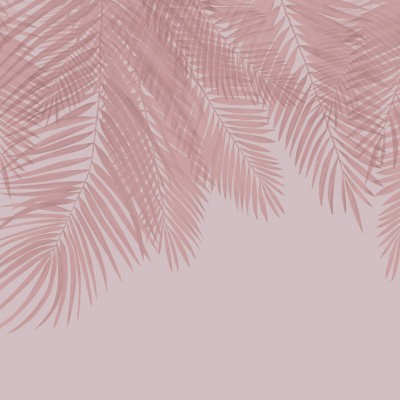 Hanging Palm Leaves, Pink, Photowall
