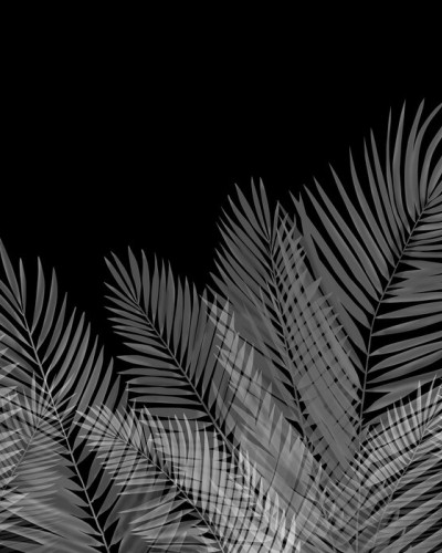 Swaying Palm Leaves - Black-White, Photowall