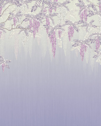 Fototapet Wisteria, Violet, cu flori mov pe un fundal liliac