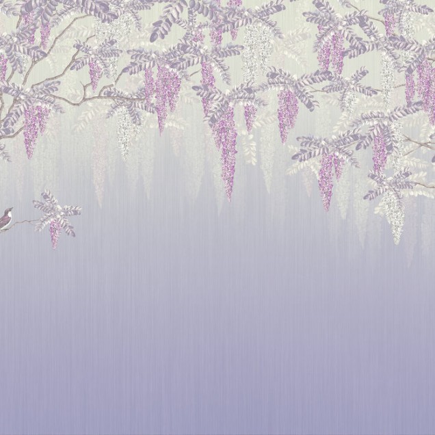 Fototapet Wisteria, Violet, cu flori mov pe un fundal liliac
