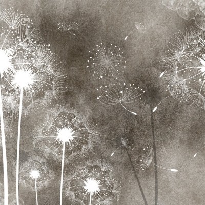 Tapet Dandelion Sky IV cu flori de păpădie albe pe fond brun