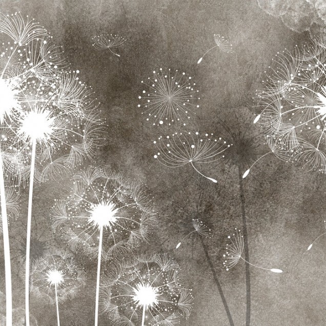 Tapet Dandelion Sky IV cu flori de păpădie albe pe fond brun