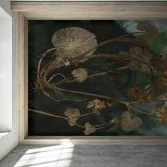 Fototapet Marsh Marigold, Personalizat, Photowall