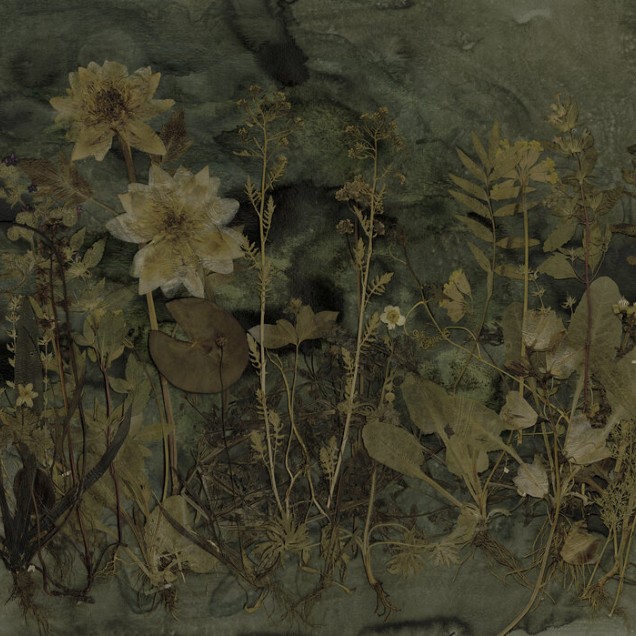 Tapet floral cu nuanțe de verde și maro cu flori uscate pe fundal verde închis. Tapetul este afișat pe peretele unui spațiu modern, cu un scaun negru în fața lui.