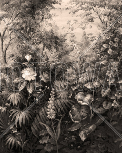 Deific Botanica - Sepia, Photowall