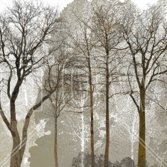 Fototapet Autum in the Woods, Personalizat, Photowall