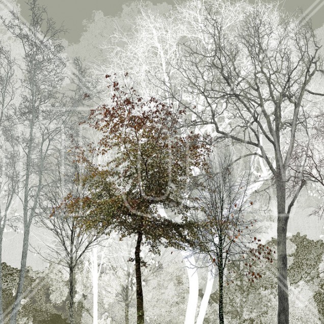 Cool Summer in the Woods - Tapet cu design modern, minimalist, cu un model de pádure, perfect pentru a crea o atmosferá relaxantá în orice camerá.