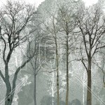 Fototapet Photowall PHW-e323383. Conține culorile: Gri, Gri Agat, Verde, Verde Sticlă, Gri, Gri Trafic A