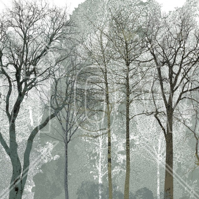 Early Spring in the Woods - imagine de fundal cu copaci goi