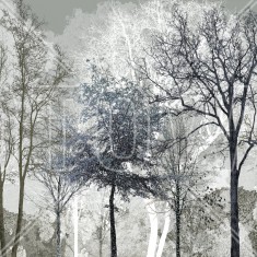 Fototapet Winter Blues in the Woods, Personalizat, Photowall