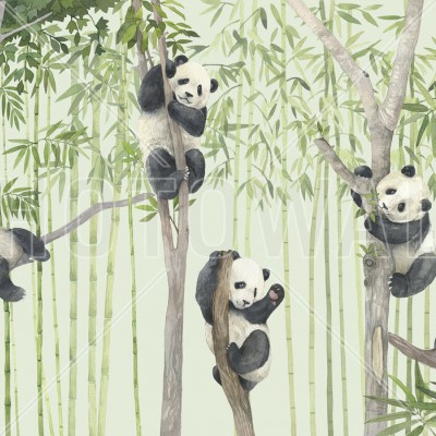 Tapet cu ursuleți panda drăguți în acuarelă