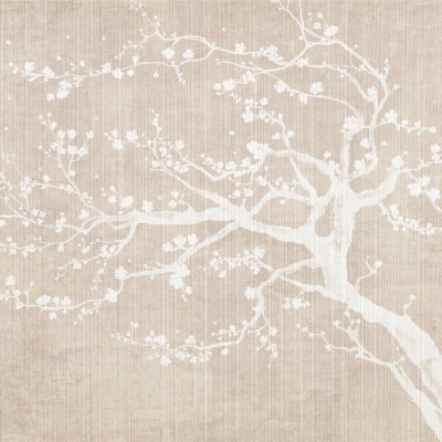 Wallpaper cu flori de cires Sakura Spring