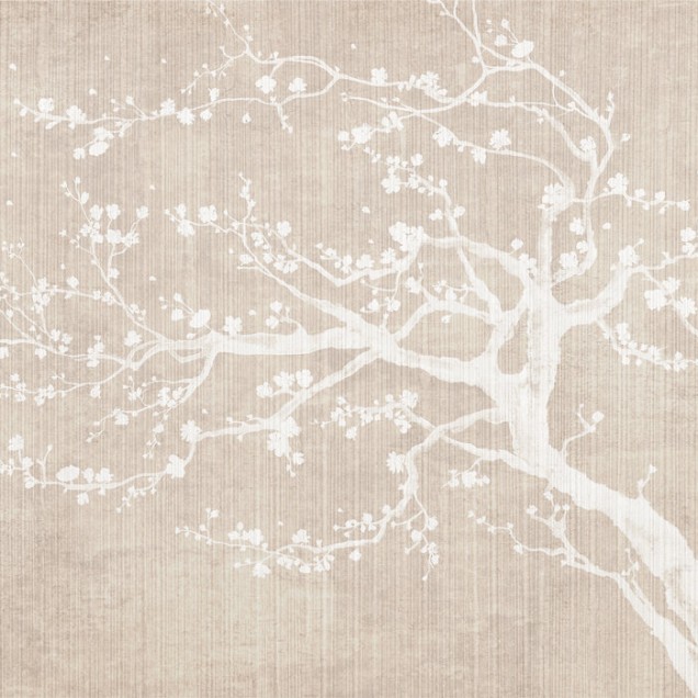 Wallpaper cu flori de cires Sakura Spring