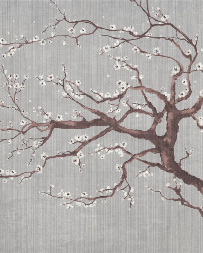 Sakura Spring V, Photowall